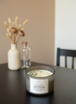 Boronia in Bloom - Image 3